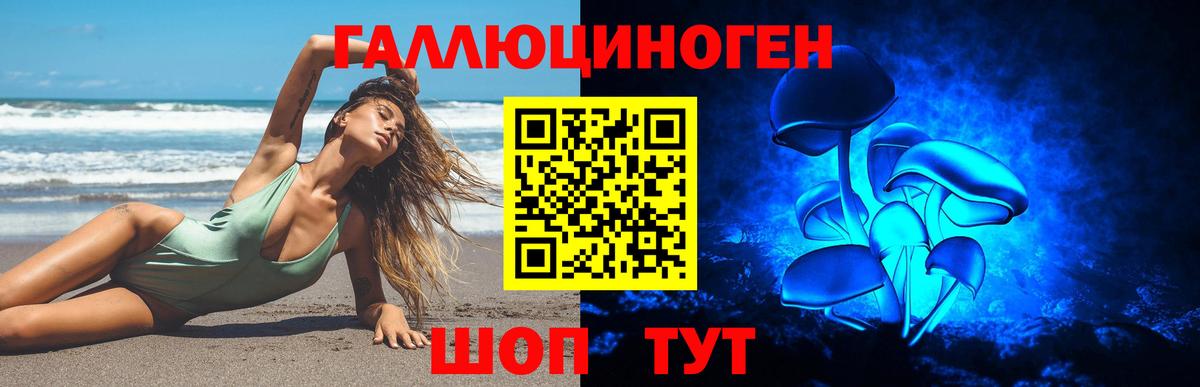 Чистополь  Псилоцибиновые грибы Magic Shrooms  Вход с VPN 